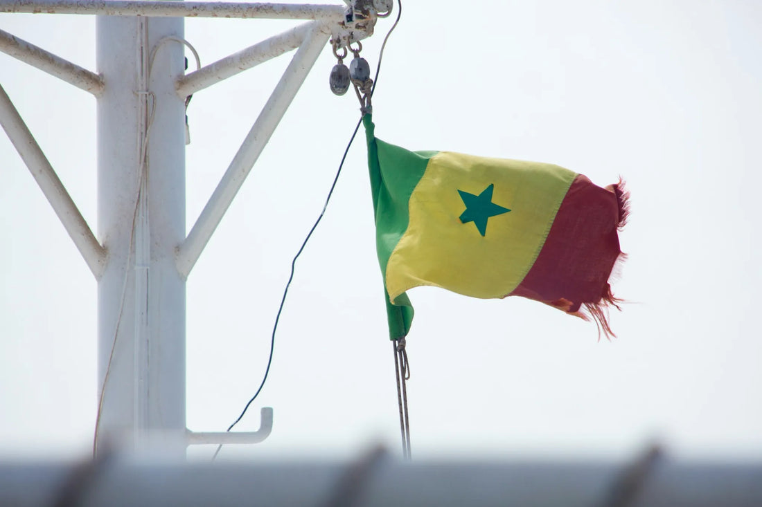 Coque iPhone Sénégal